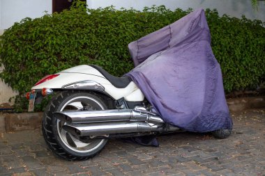 Yeşil Çalılıkların Önünde Mor Kapaklı Motosiklet