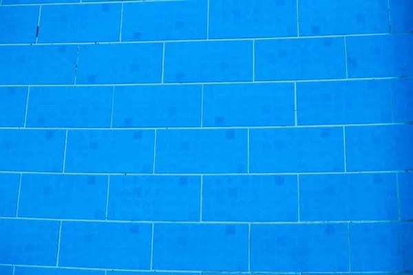 Siyah ve Beyaz Kedi Tuğla kaldırımda oturuyor