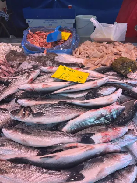 Geleneksel deniz ürünleri pazarında buzda sergilenen taze balıklar. Fiyat etiketli yakın plan görüntü, gıda endüstrisi ve deniz ürünleri ticareti kavramları için mükemmel