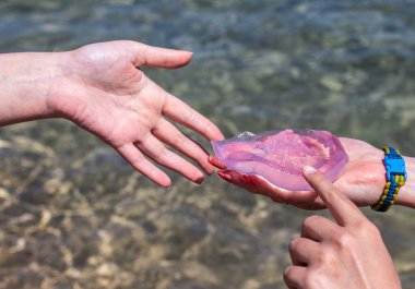 pink jellyfish in hand with clear sea background