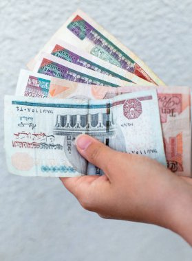 Beyaz bir duvara yaslanmış Mısır banknotlarını sayıyorum. Mısır 'da yerel para birimi, bütçe veya tasarruf konuları
