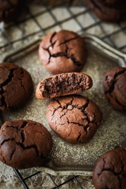 Bir parça çikolatalı kurabiye.