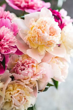 Ev dekorasyonu için pembe şakayıklar