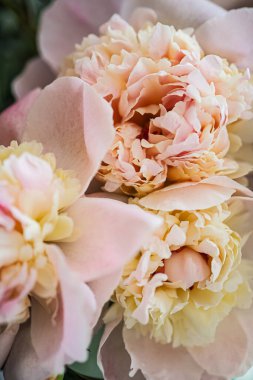 Gelin için düğün şakayıkları