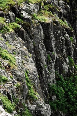 Yosunlu uçurum - Akropol des Draveurs