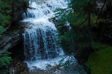 Johnston Canyon 'da sabah deresi