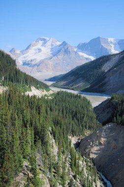 Athabasca Dağı ve Sunwapta Vadisi - Columbia Icefield Hava Yolu 2