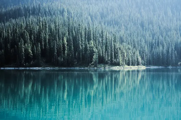 Stock image Enchanted forest view on Maligne Lake