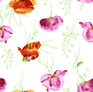 Soyut çiçekler, yapraklar ve meyvelerle renksiz çiçek desenleri. Kırsal vintage biçimi, kaynak biçimi veya duvar kağıtları ile suluboya iz beyaz arkaplanda izole