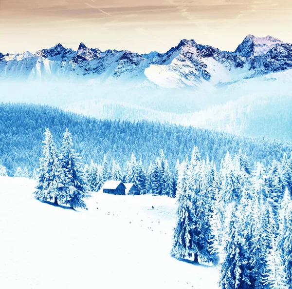 En son tekstil baskı tasarımları