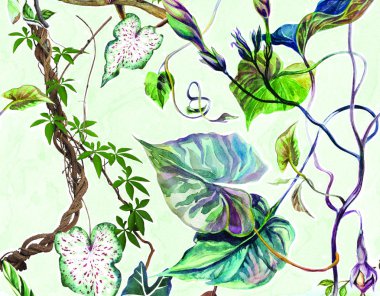 Soyut çiçekler, yapraklar ve meyvelerle renksiz çiçek desenleri. Kırsal vintage biçimi, kaynak biçimi veya duvar kağıtları ile suluboya iz beyaz arkaplanda izole