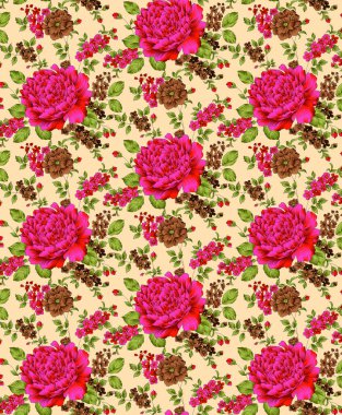 Soyut çiçekler, yapraklar ve meyvelerle renksiz çiçek desenleri. Kırsal vintage biçimi, kaynak biçimi veya duvar kağıtları ile suluboya iz beyaz arkaplanda izole