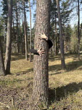 ağacın etrafında eller