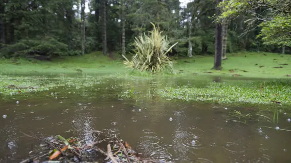 Yağmur, lanet su ve Lago Negro 'nun üzerinde yürüme yolu