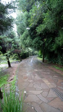 Yağmur, lanet su ve Lago Negro 'nun üzerinde yürüme yolu