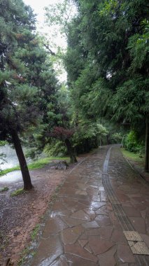 Yağmur, lanet su ve Lago Negro 'nun üzerinde yürüme yolu