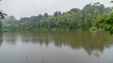 Yağmur, lanet su ve Lago Negro 'nun üzerinde yürüme yolu