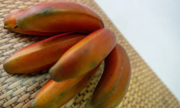 Red Banana Fruit Present Large Part Brazilian Territory — Stock Photo, Image