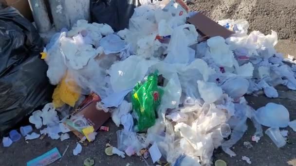 Suzano São Paulo Brasil Março 2024 Muita Sujeira Lixo Jogados — Vídeo de Stock