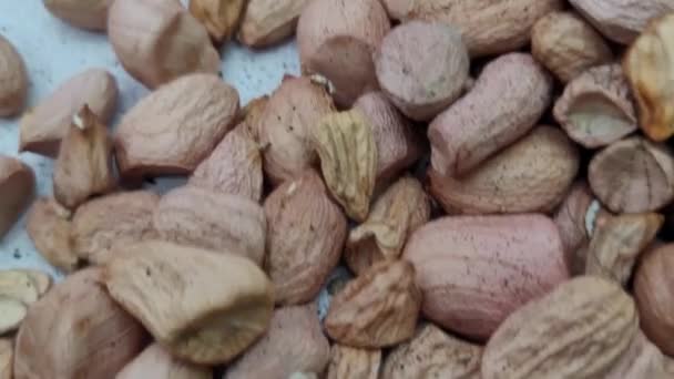 多数のさまざまな貝のピーナッツ カーネル — ストック動画