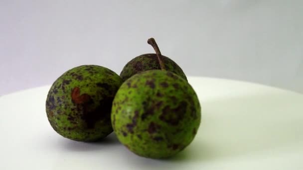 Fruta Tropical Abacate Muito Comum Brasil — Vídeo de Stock