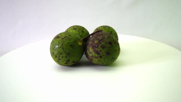 Avokado Tropikal Meyvesi Brezilya Çok Yaygındır — Stok video