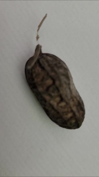 Opening Peanut Shells Remove Seeds — Vídeo de Stock
