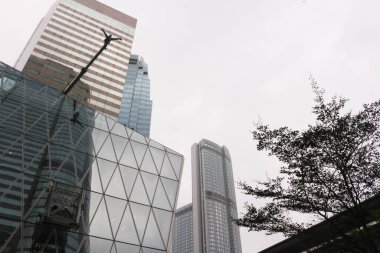 Merkez, Hong Kong - 30 Ocak 2016: Centra 'da ağaç ve bulutlu bir günde çekilen vinç ile gökdelenler yüksek binası
