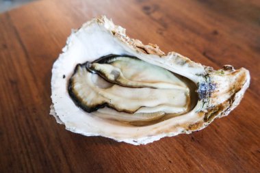 Sulu, kremalı Japon mega boy çiğ istiridye kabuğunun üzerinde.