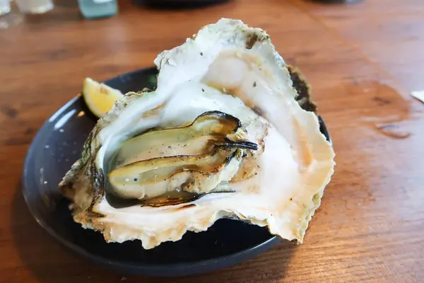 stock image close up of juicy creamy Japanese mega size raw oyster on a shell