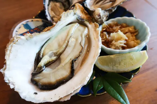 stock image close up of juicy creamy Japanese mega size raw oyster on a shell