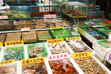 Castle Peak Bay, Tuen Mun, Hong Kong - 15 sep 2024: Istakoz, yengeç, yengeç, karides, karides, deniz salyangozu, abalone, istiridye, istiridye gibi canlı deniz ürünleri depolayan deniz ürünleri pazarı 