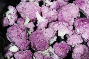 close up of purple cauliflower being washed and floating in a bowl of water ready for cooking clipart