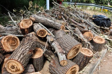 Yol kenarına yerleştirilen kullanılmamış kereste atıklarını kapatın.