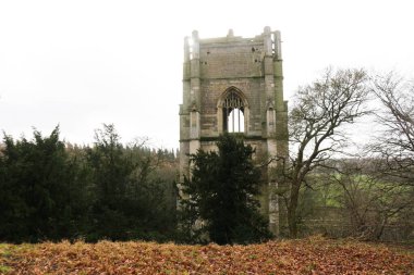 Fountains Abbey, Birleşik Krallık, Büyük Britanya - 13 Şubat 2016: bulutlu bir günde İngiltere 'deki harap olmuş Cistercian manastırlarının korunması