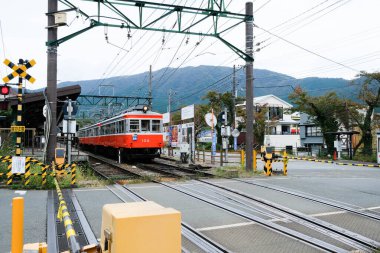 Gora, Japonya- 29 Ekim 2024: Hakone Tozan Demiryolu treni gündüz vakti Gora 'daki tren istasyonundan geçiyor