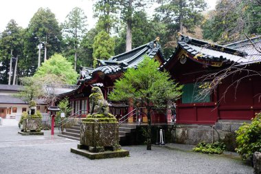 Hakone Tapınağı, Hakone, Japonya - 27 Ekim 2024: Aslan taşı heykeli ve yosunlu ana binanın tapınak girişi