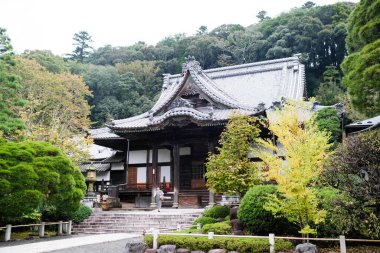 Hakone Tapınağı, Hakone, Japonya - 27 Ekim 2024: Yan tarafında ağaçlar olan ana binanın tapınak girişi