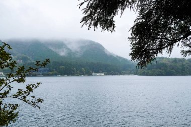 Ashi Gölü, Hakone Gölü, Japonya- 28 Ekim 2024: Üzerinde bir çerçeve gibi ağaçlar ve gündüz karşı tarafında binalar olan huzurlu göl 