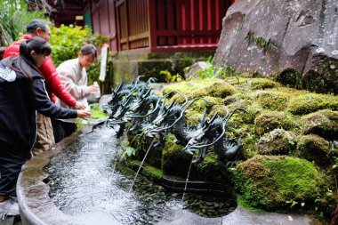 Hakone Shrine, Japan- 28 Oct 2024: stone dragon purification fountain in the temple with wash basin for ritual cleansing and worshiper tourists are washing hands clipart