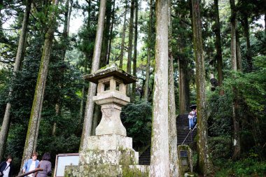 Japonya 'da taştan fener, yosun ve ağaçlar gündüz tapınağın arka tarafında.