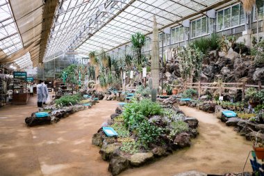 Izu Shaboten Hayvanat Bahçesi, Ito, Japonya- 29 Ekim 2024: Kaktüs bahçesi, yeşil ev parkında güneş ışığı ve yürümek için patika.