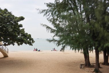 Golden Beach, Gold Coast, Tuen Mun, Hong Kong - 23 Kasım 2024: bulutlu bir günde ağaçlı açık hava plajı