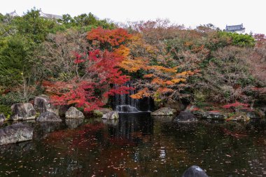  Sonbaharda Himeji Kalesi 'nin yanındaki Japon bahçesinde ağaçlarda kırmızı ve sarı yapraklar ve Wabi Sabi bahçesinde yansıması olan göller var.