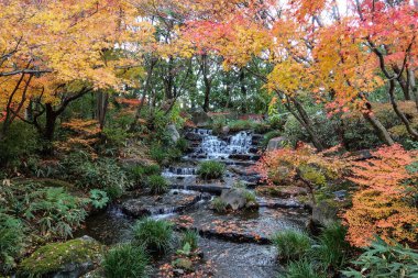  Sonbaharda Himeji Kalesi 'nin yanındaki Japon bahçesinde ağaçlarda kırmızı ve sarı yapraklar ve Wabi Sabi bahçesinde yansıması olan göller var.