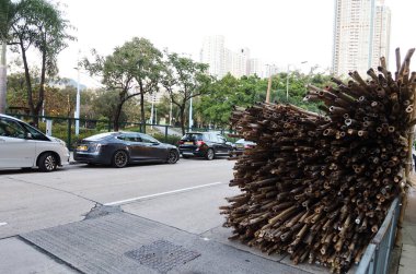 Kai Tak, Kowloon, Hong Kong - 12 Ocak 2025: bambu yığınları Hong Kong 'da yol boyunca bambu iskelesi inşa etmek için kullanılıyor.