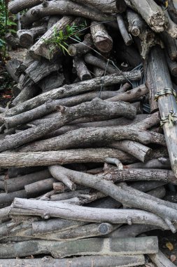 Yıpranmış ahşap odunların dizilimi yaşlılık ve görünüş olarak değişkendir.