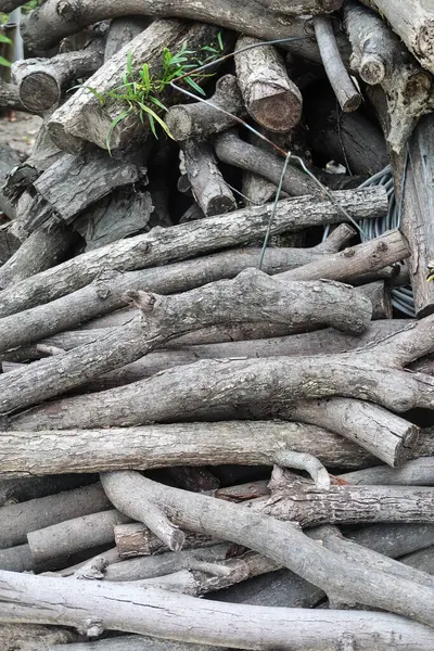 Yıpranmış ahşap odunların dizilimi yaşlılık ve görünüş olarak değişkendir.