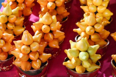 Çin Yeni Yılı 'nın birçok saksısını kapatıyoruz. Geleneksel iyi talih, Solanum mammosum denen sarı bitkileri kutsuyor.
