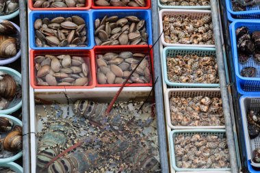 Teknede deniz suyu bulunan plastik tepside canlı deniz ürünleri yakalar. Bunlar arasında Sai Kung, Hong Kong 'daki deniz salyangozları, ıstakozlar ve kabuklu deniz hayvanları da vardır.